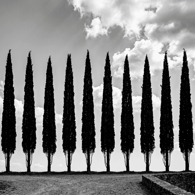 Insolvenza in Italia 2026: Il Codice della Crisi